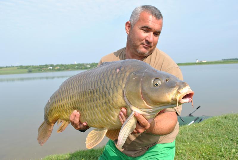 crapi - 591c5a15-cf5d-4e5f-912d-77ed6fe4b666.jpg